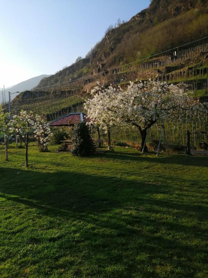 Casa Vacanze La Ca Del Cunfec Sondrio Eksteriør billede