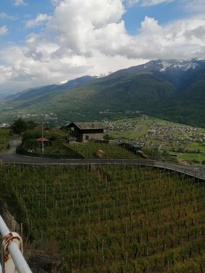 Casa Vacanze La Ca Del Cunfec Sondrio Eksteriør billede
