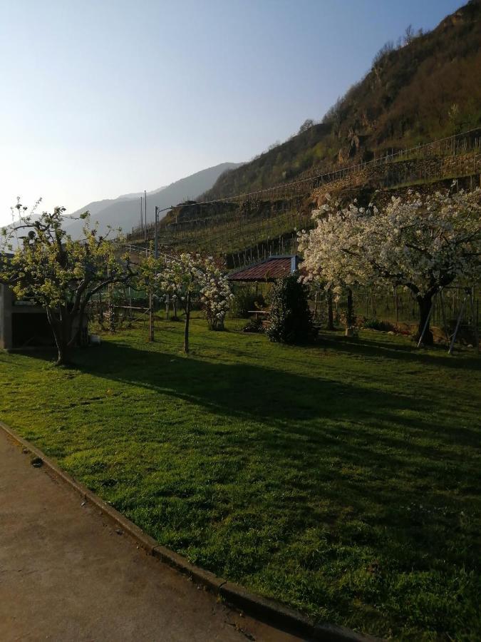 Casa Vacanze La Ca Del Cunfec Sondrio Eksteriør billede