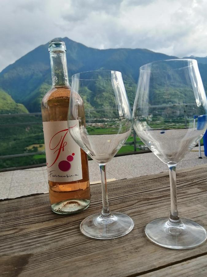 Casa Vacanze La Ca Del Cunfec Sondrio Eksteriør billede