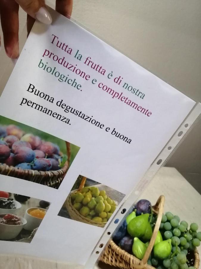 Casa Vacanze La Ca Del Cunfec Sondrio Eksteriør billede